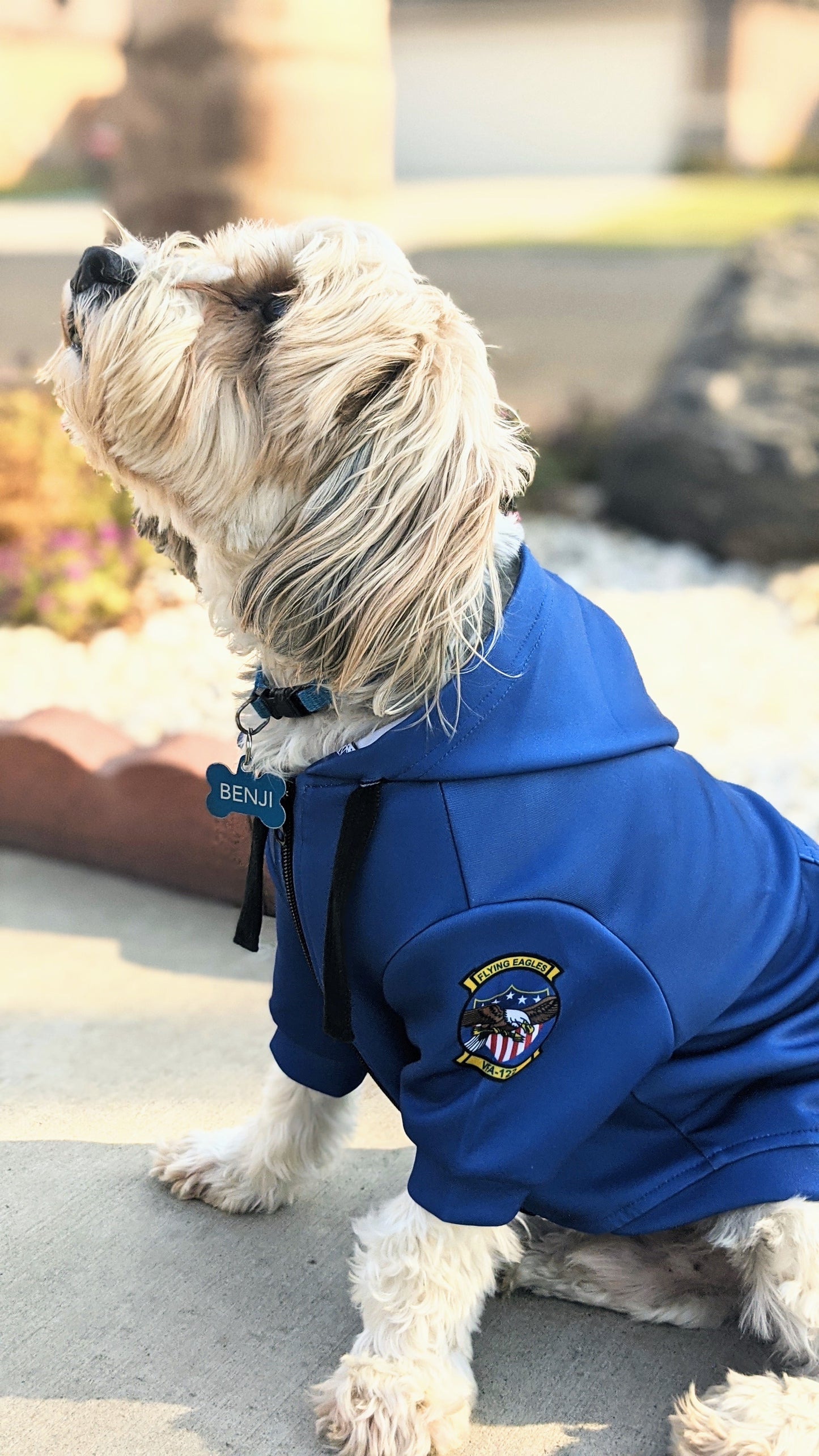 ANY Aircraft/Squadron Zip-up Dog Hoodie
