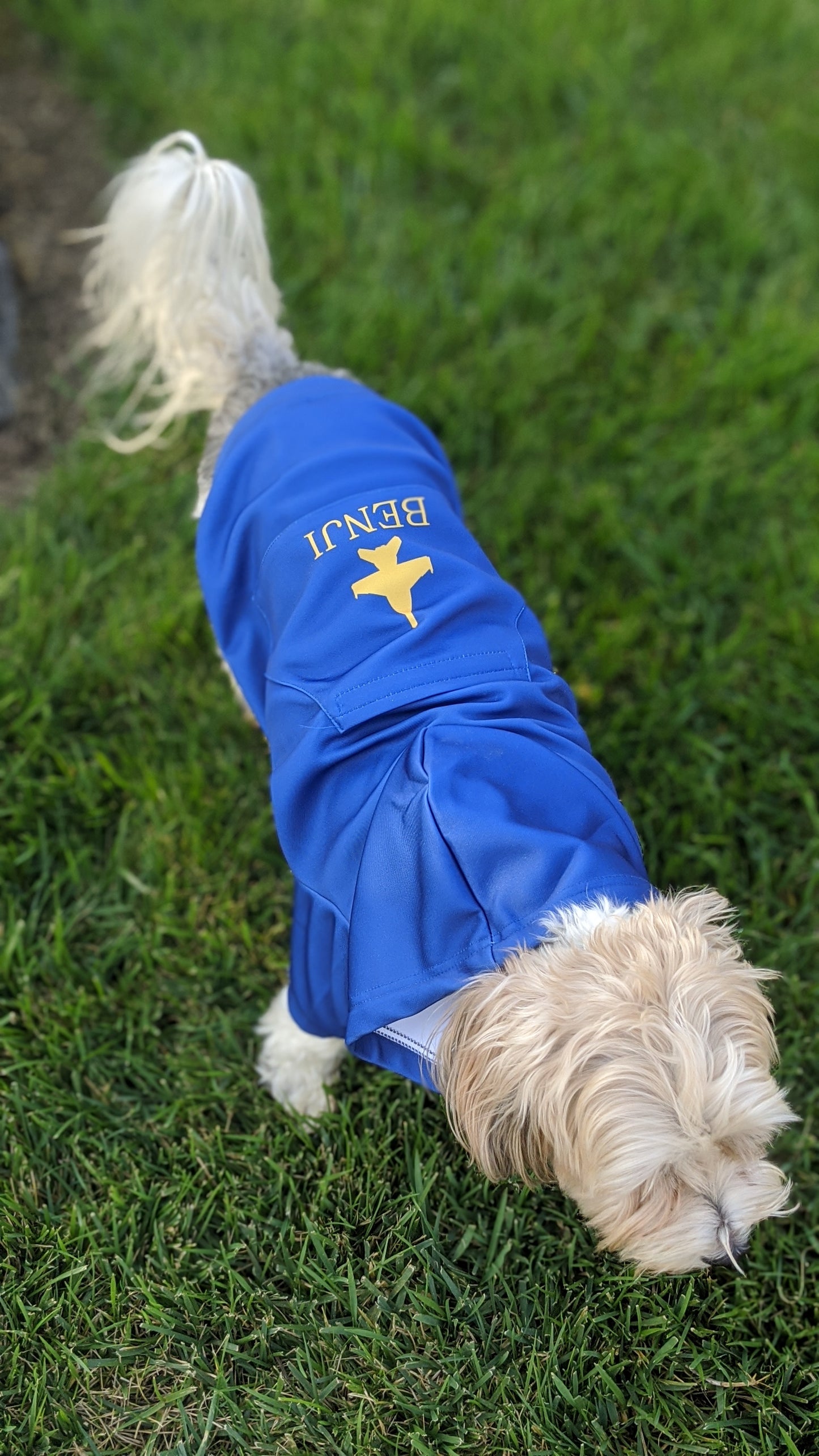 ANY Aircraft/Squadron Zip-up Dog Hoodie