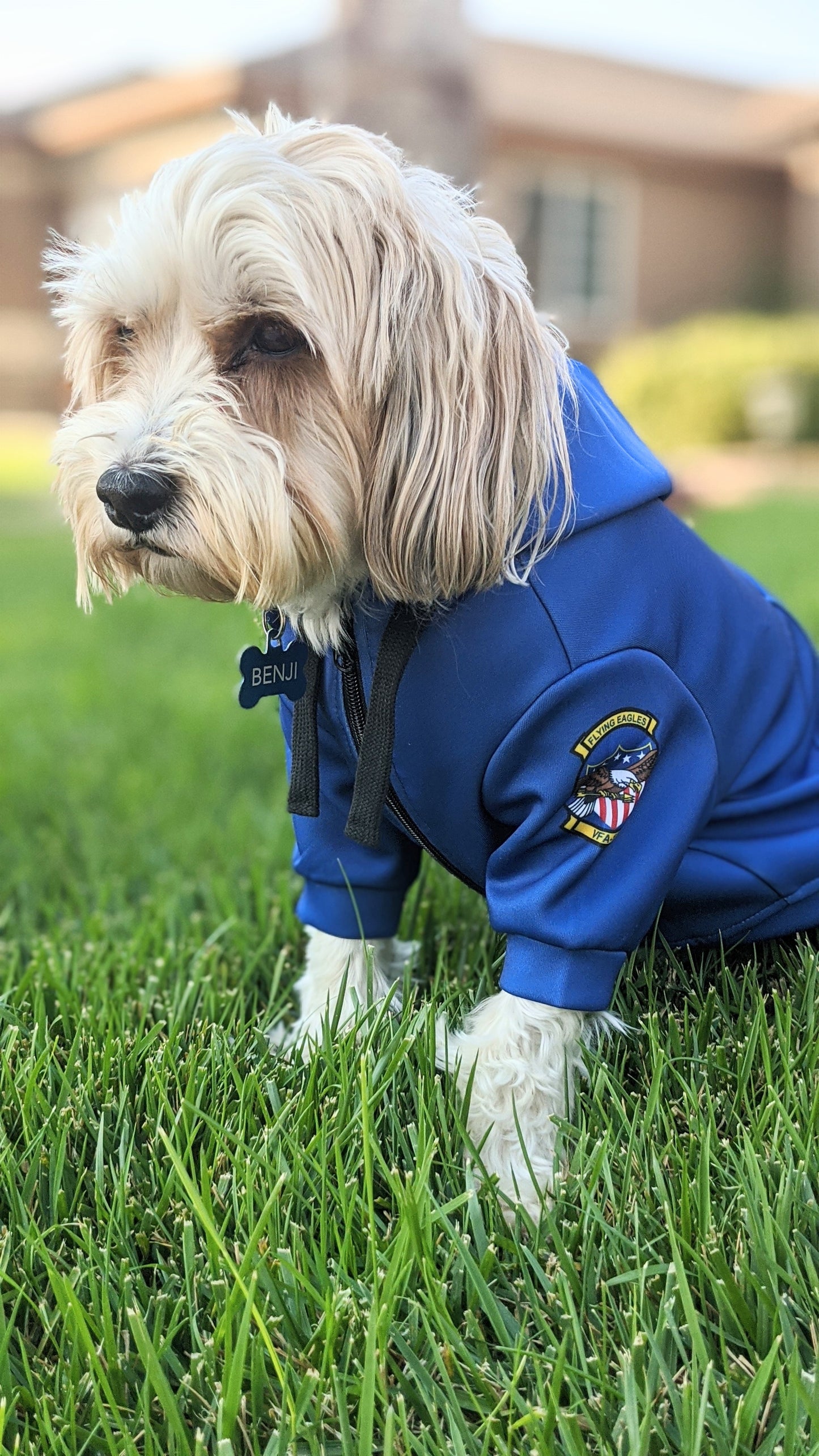 ANY Aircraft/Squadron Zip-up Dog Hoodie