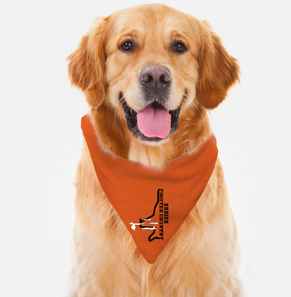 VFA-94 Pet Bandana WITHOUT collar