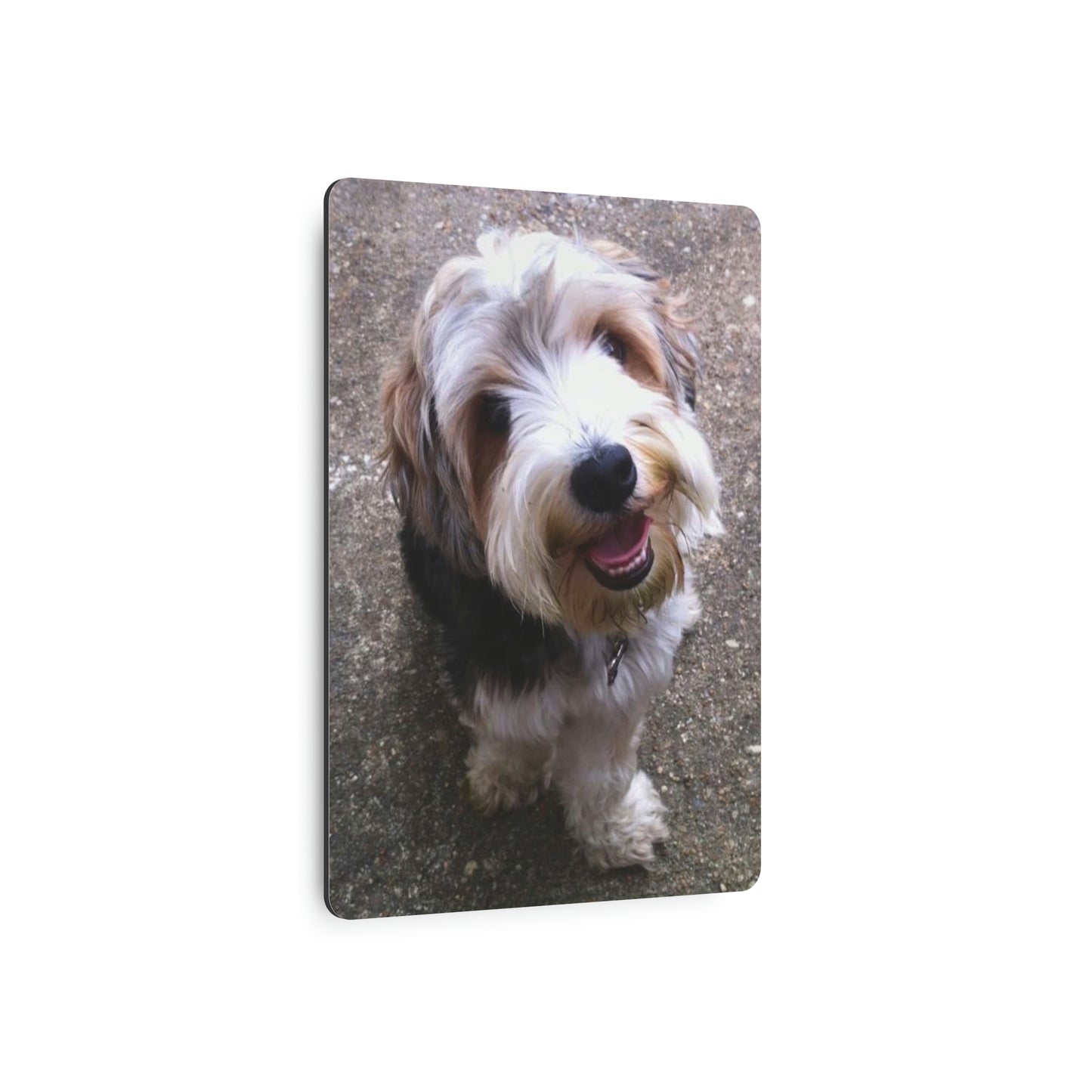Benji Metal Art Sign